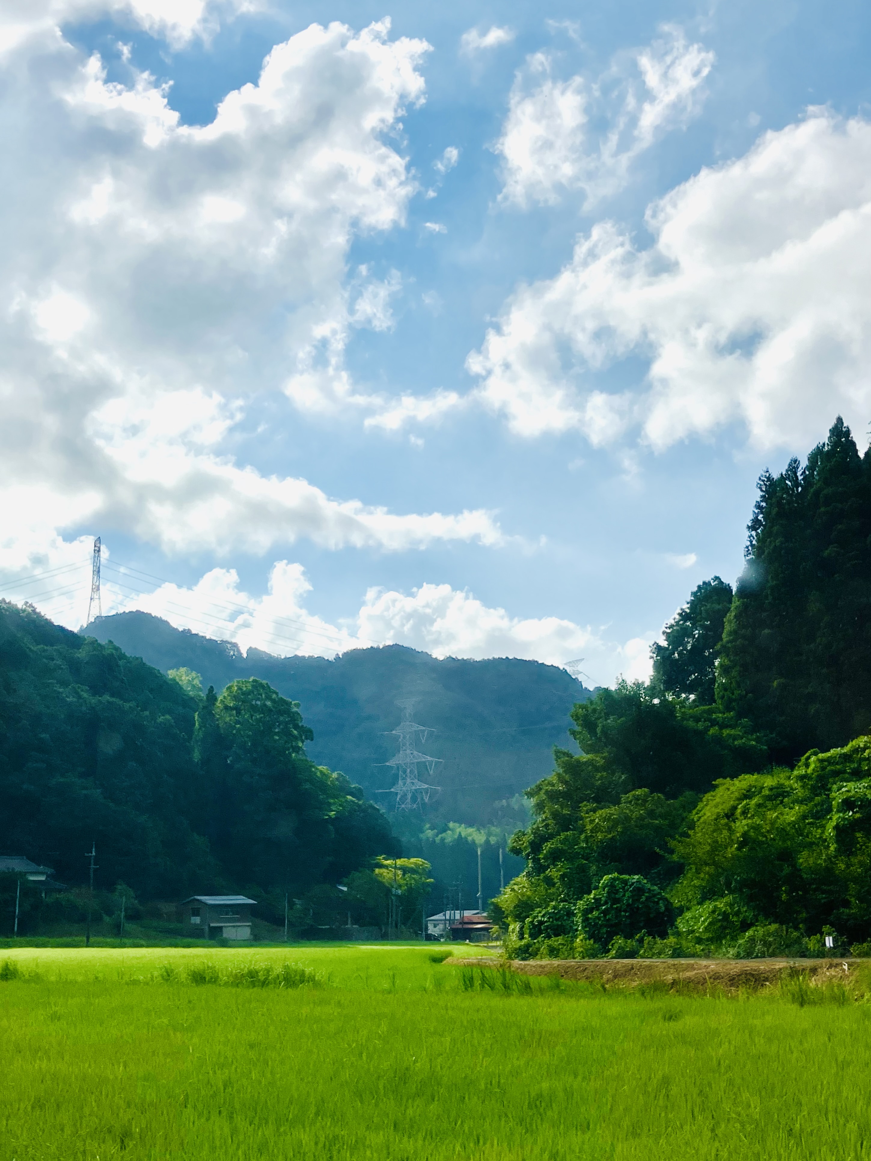日々是草日♬