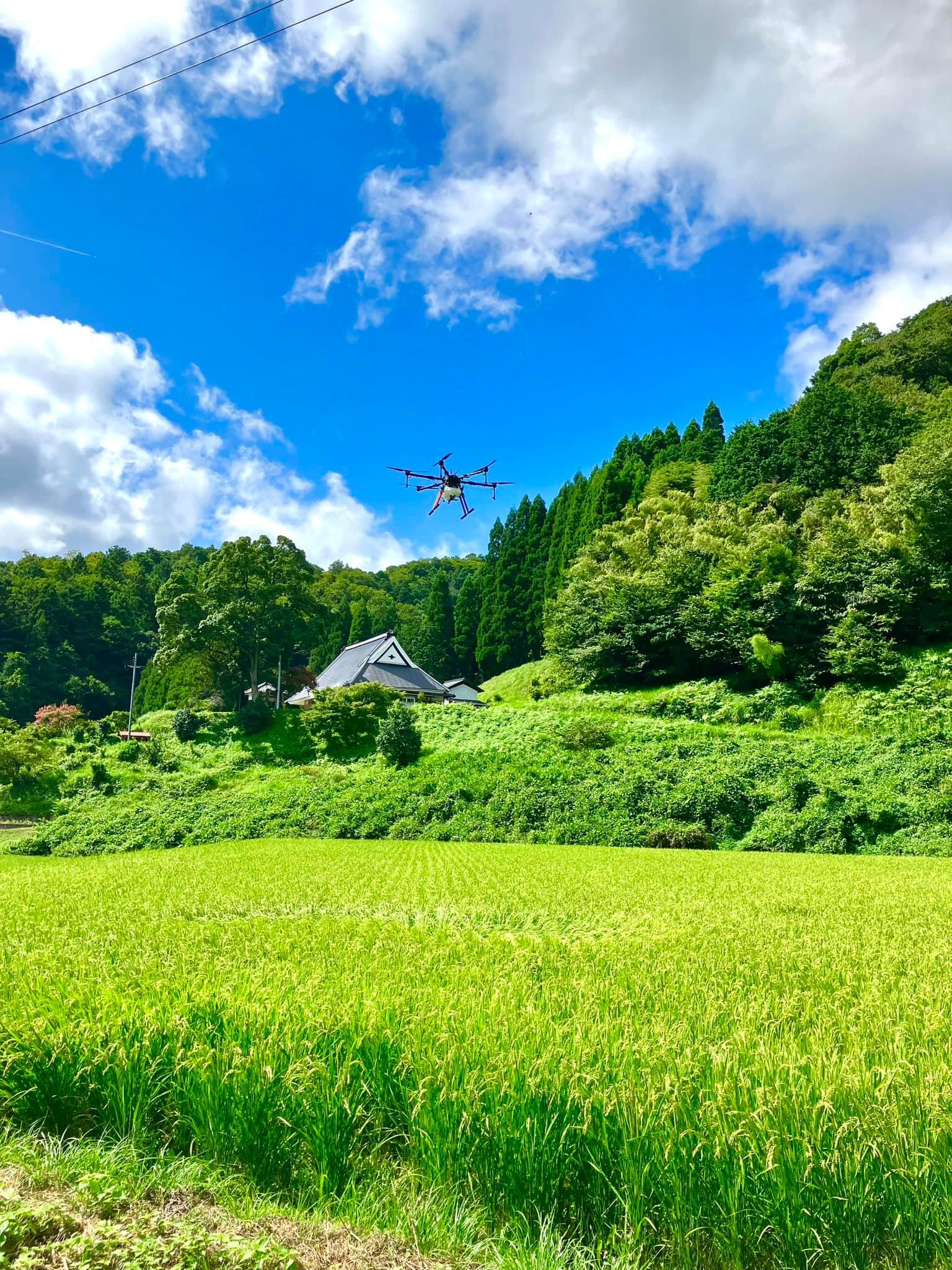 カメムシ防除☆