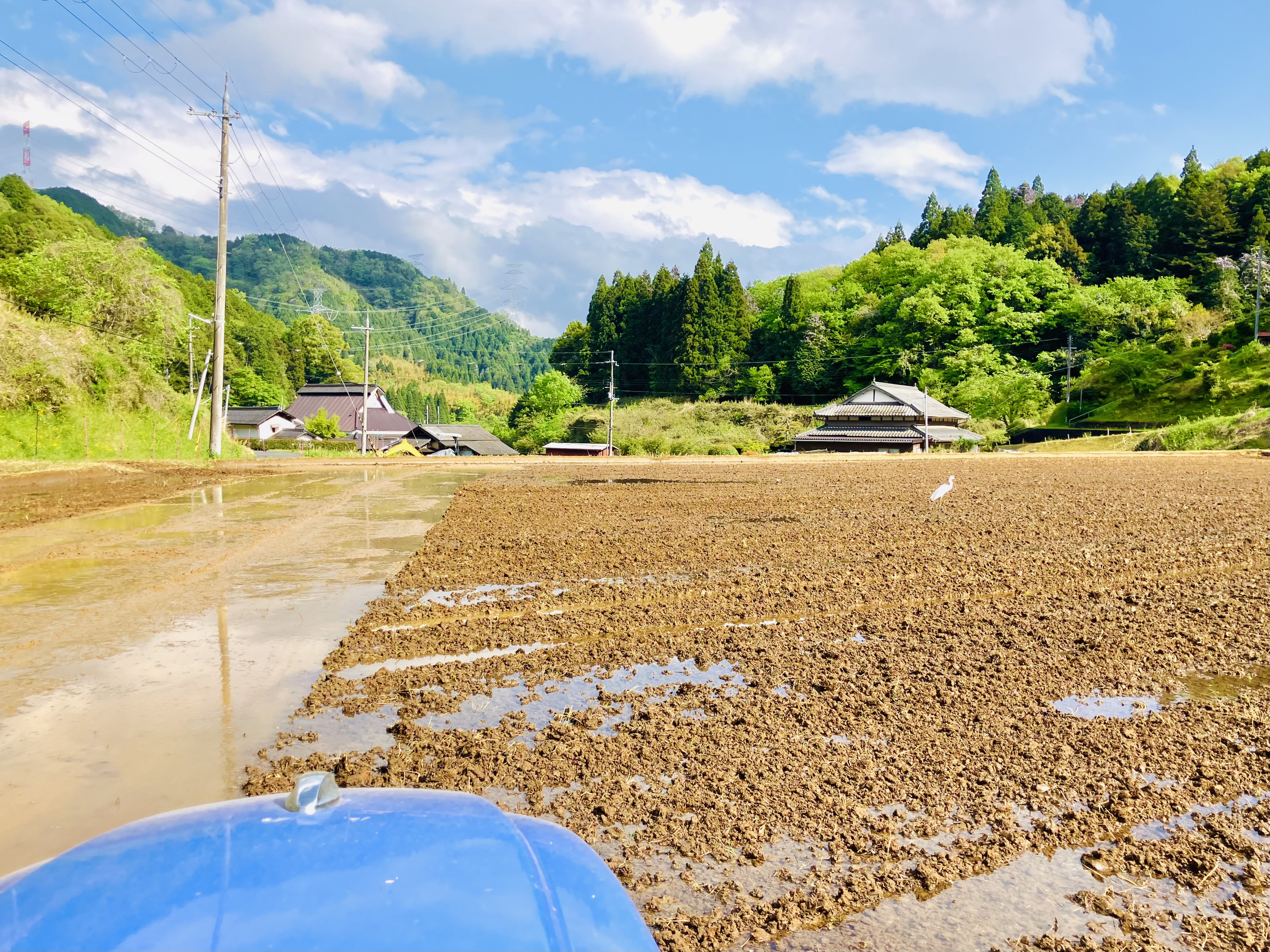 恵の雨♡