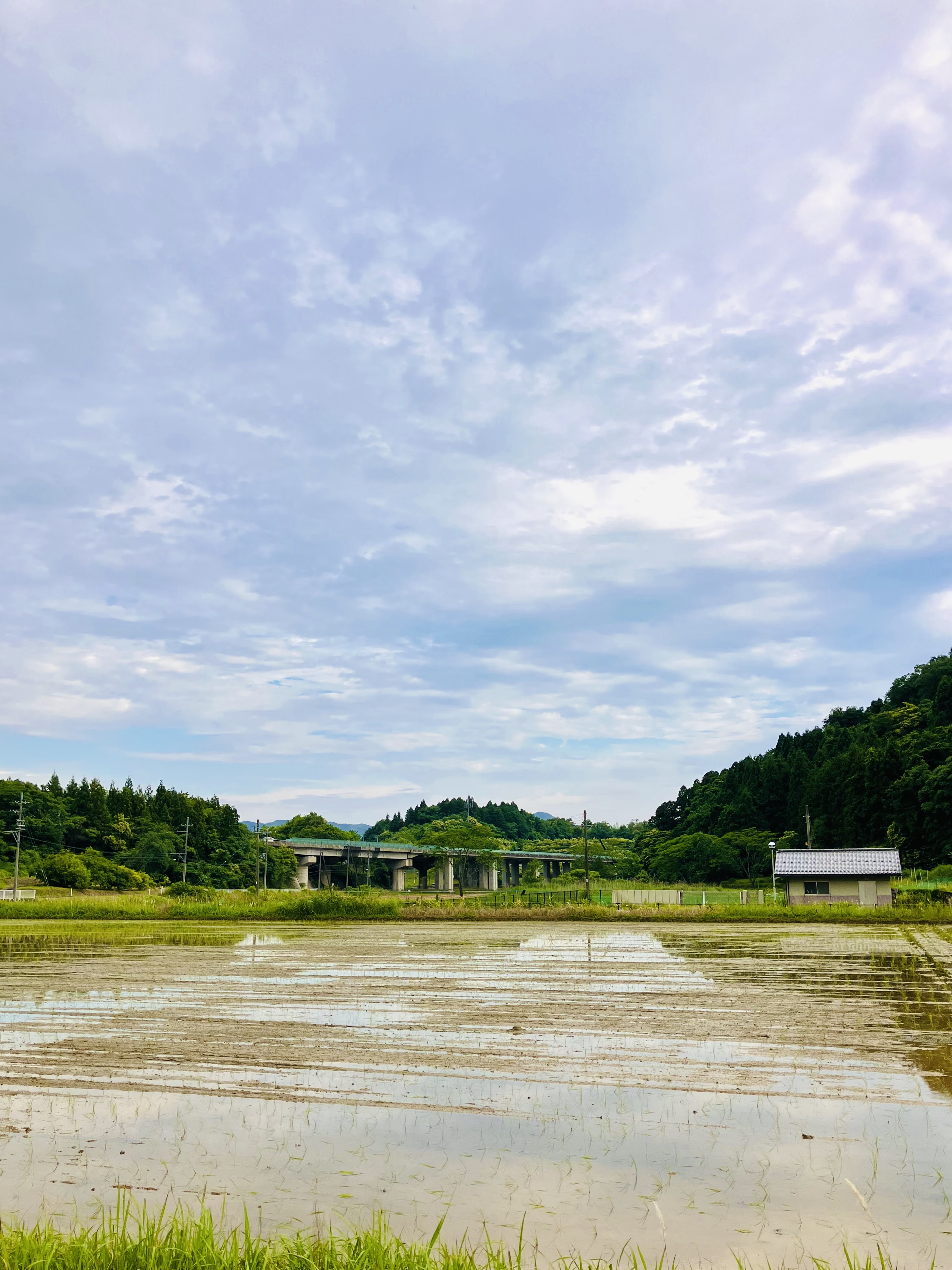 田植え閉幕〆