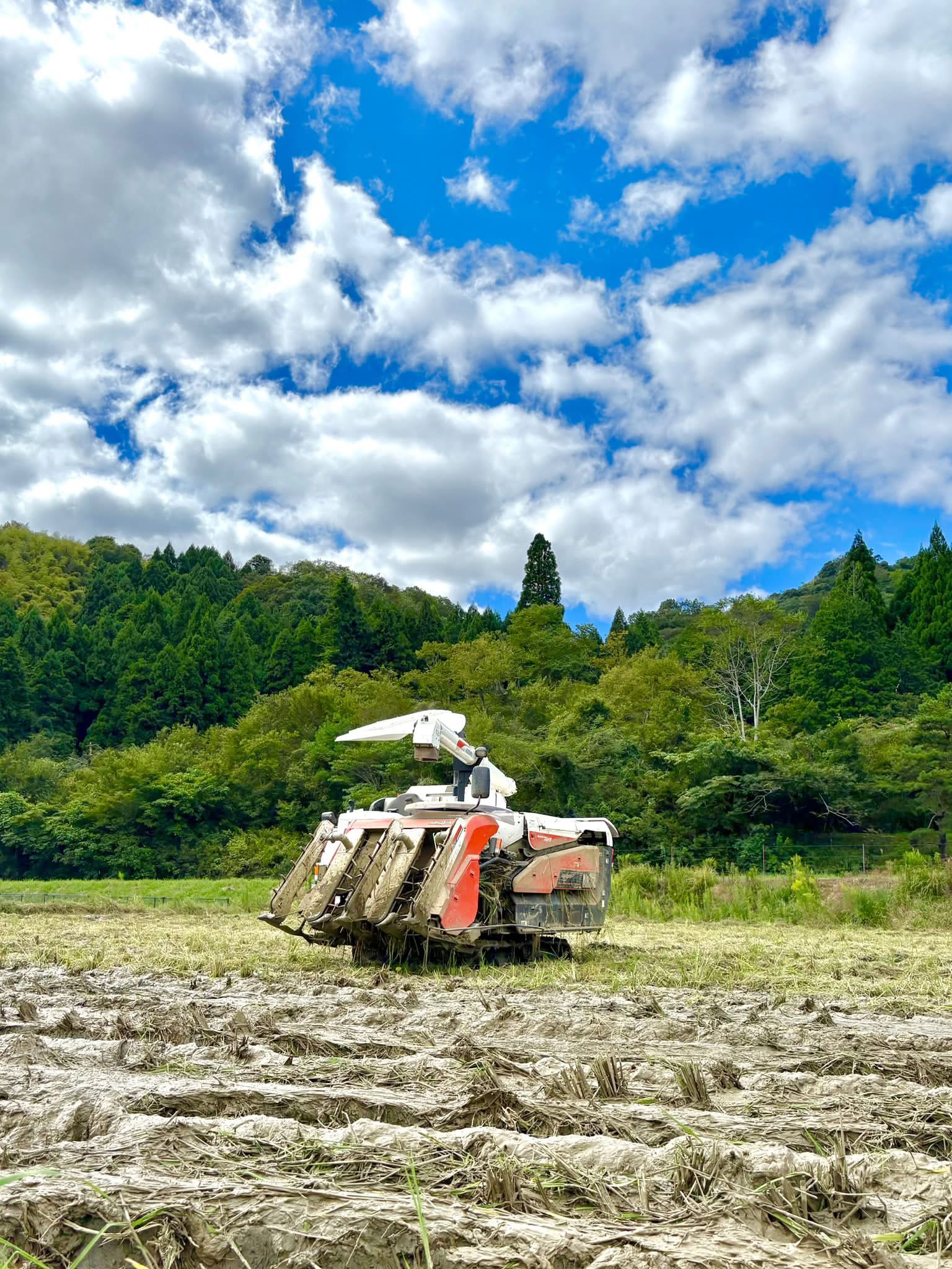 稲刈り閉幕〆