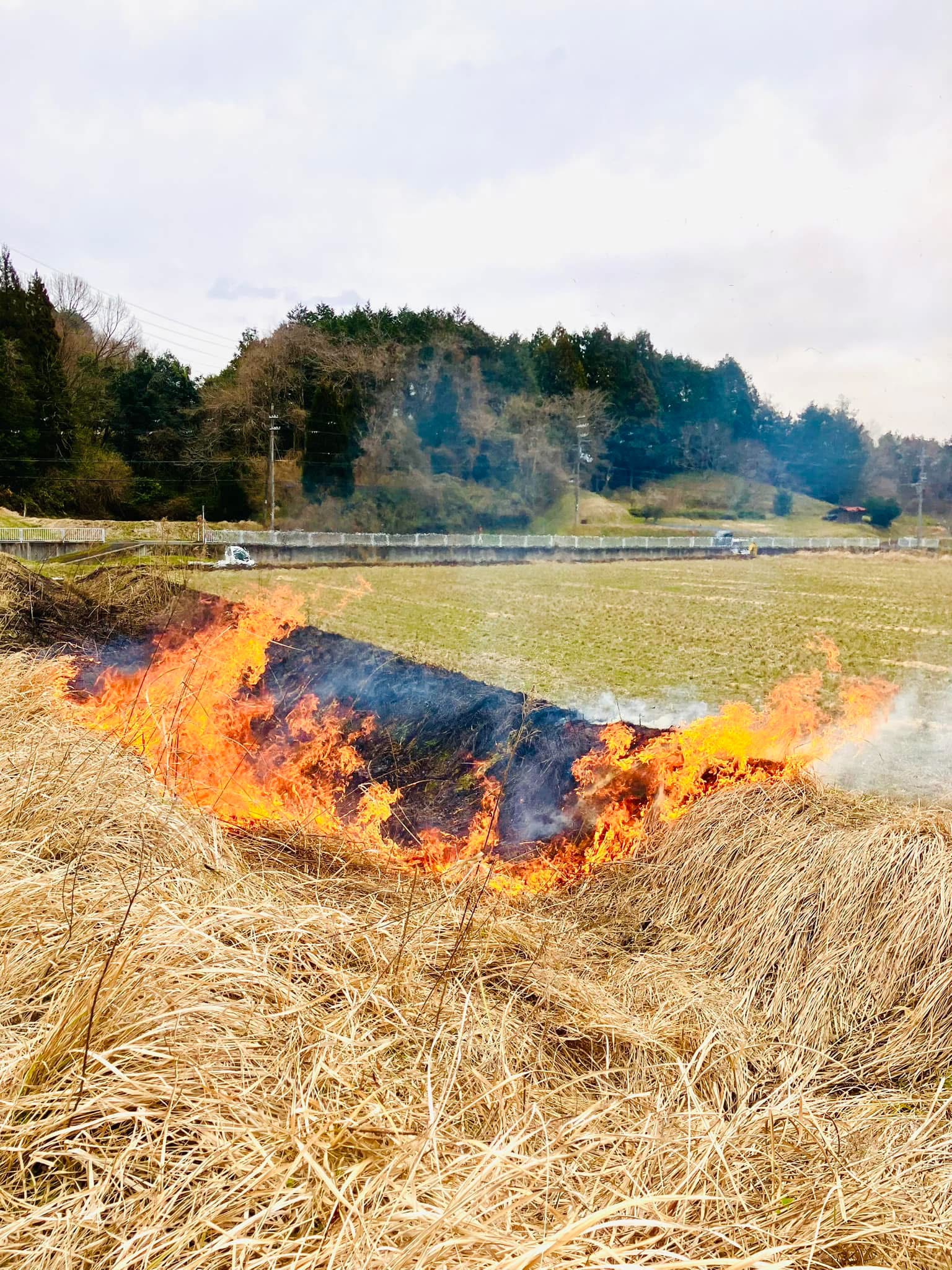 野焼き！