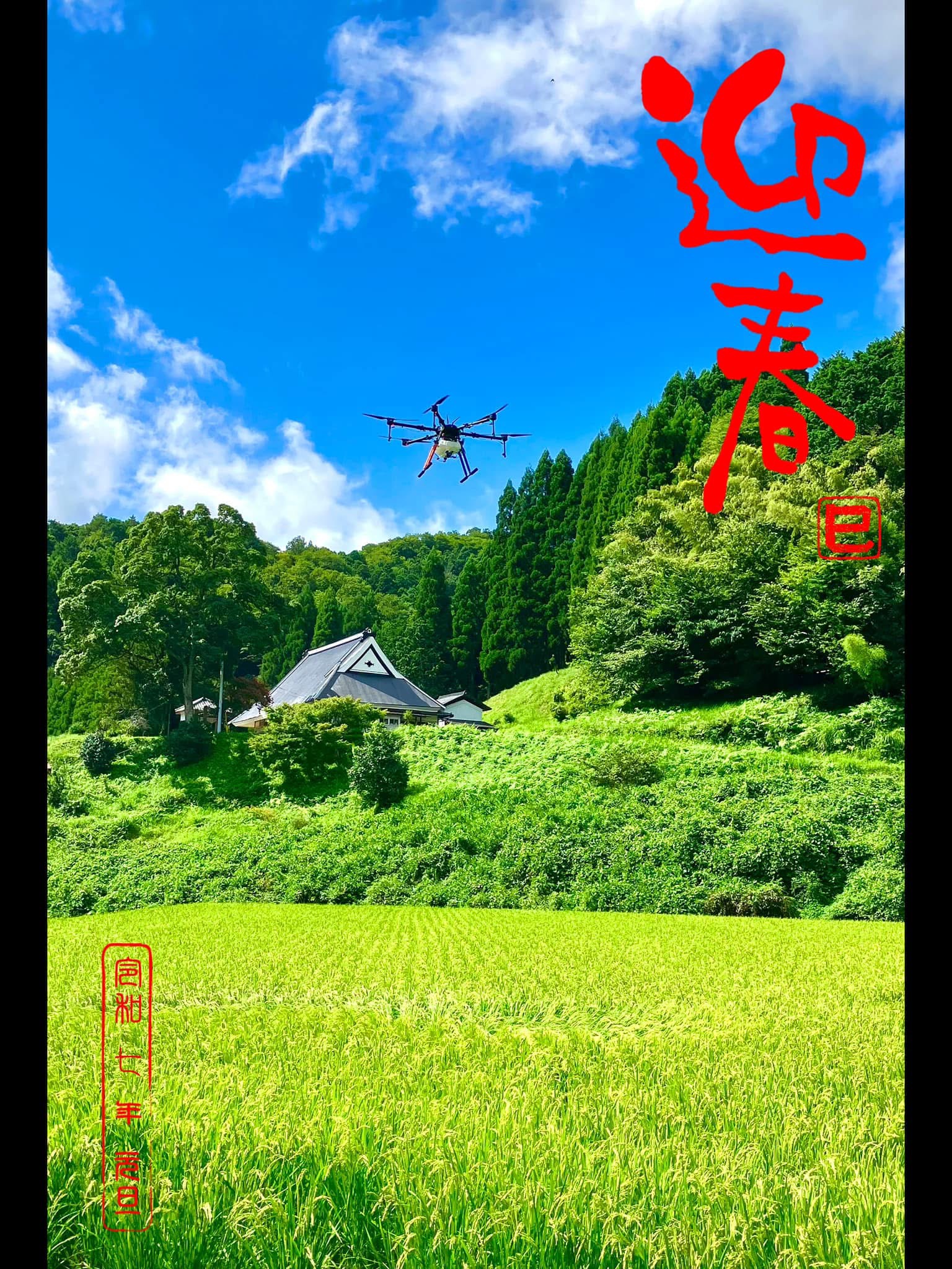 迎春！