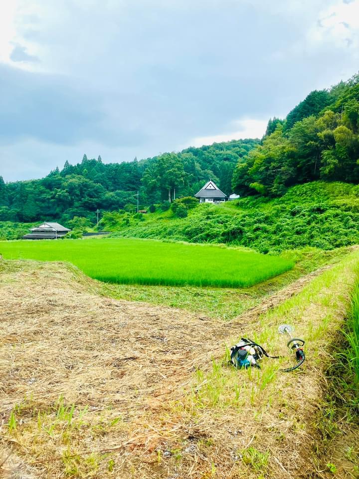 日々是草日★
