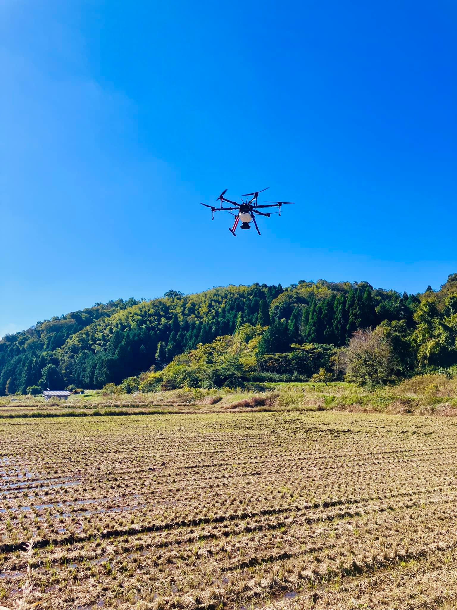 レンゲソウ播種！