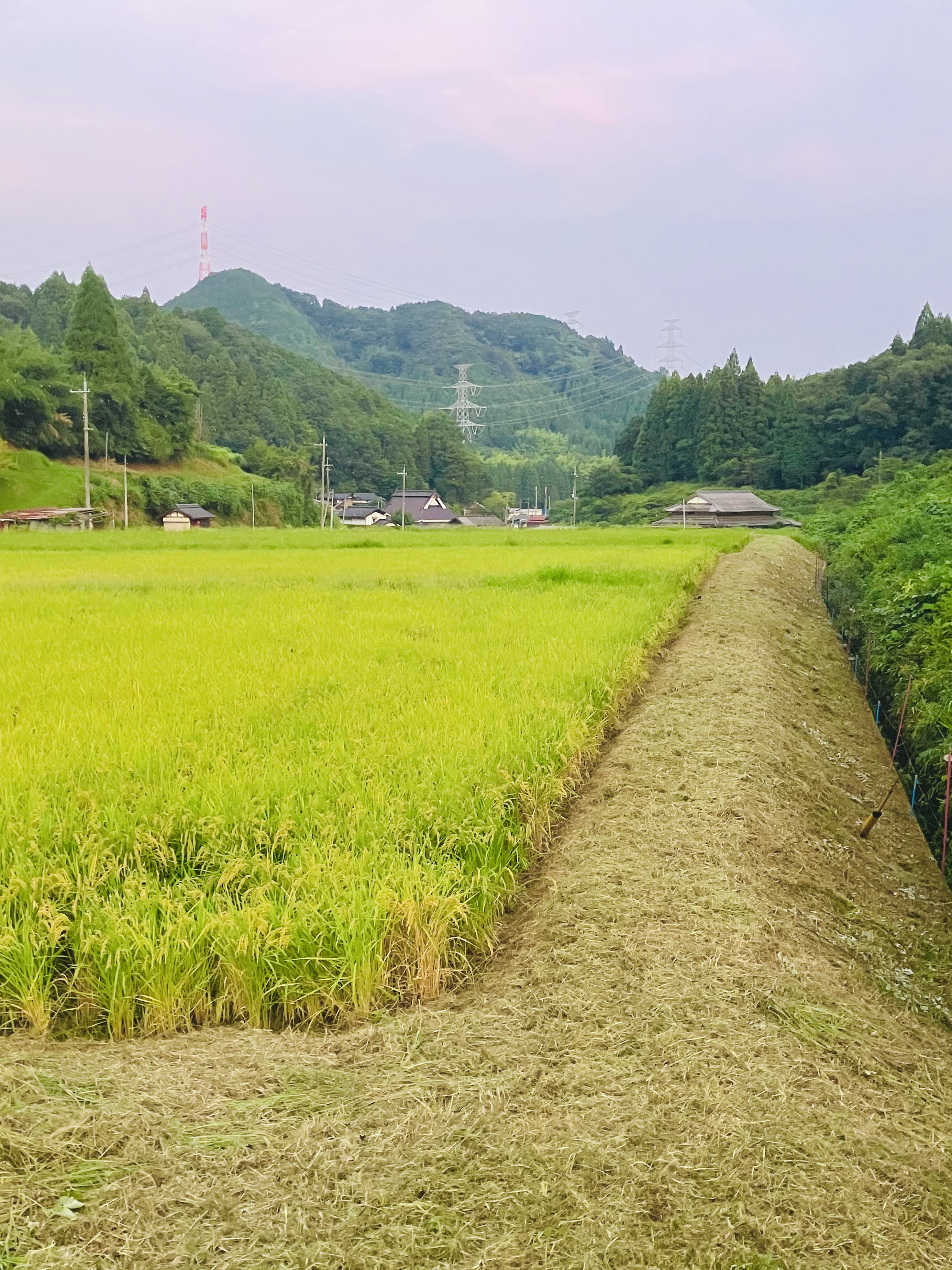 星原川左岸 草刈り★