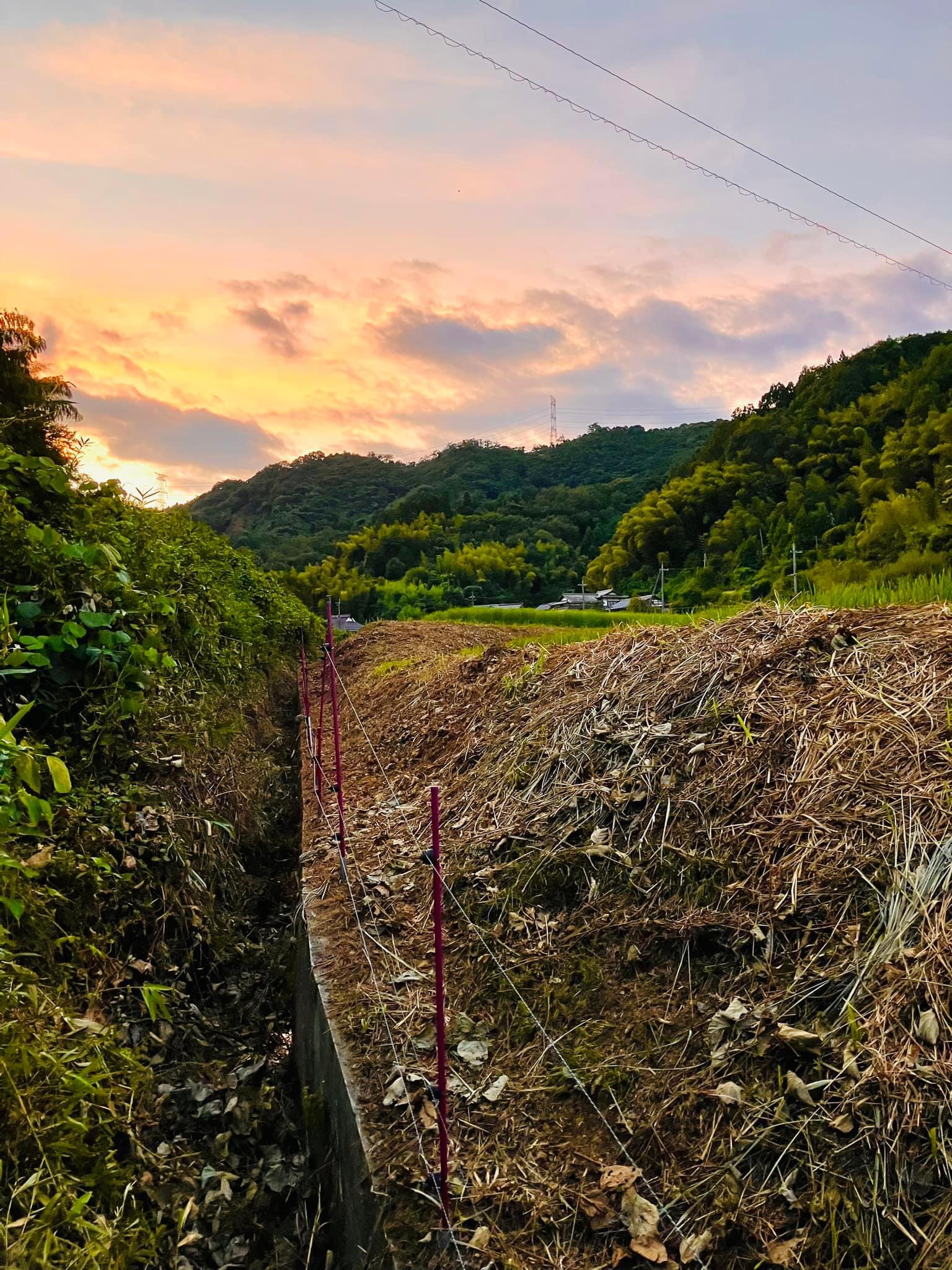 星原川左岸 草刈り & 電気柵再展張〆