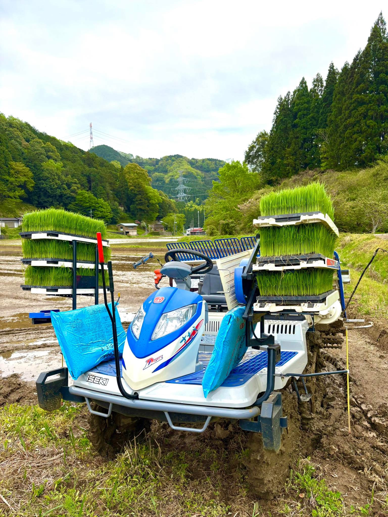 田植え開幕♬