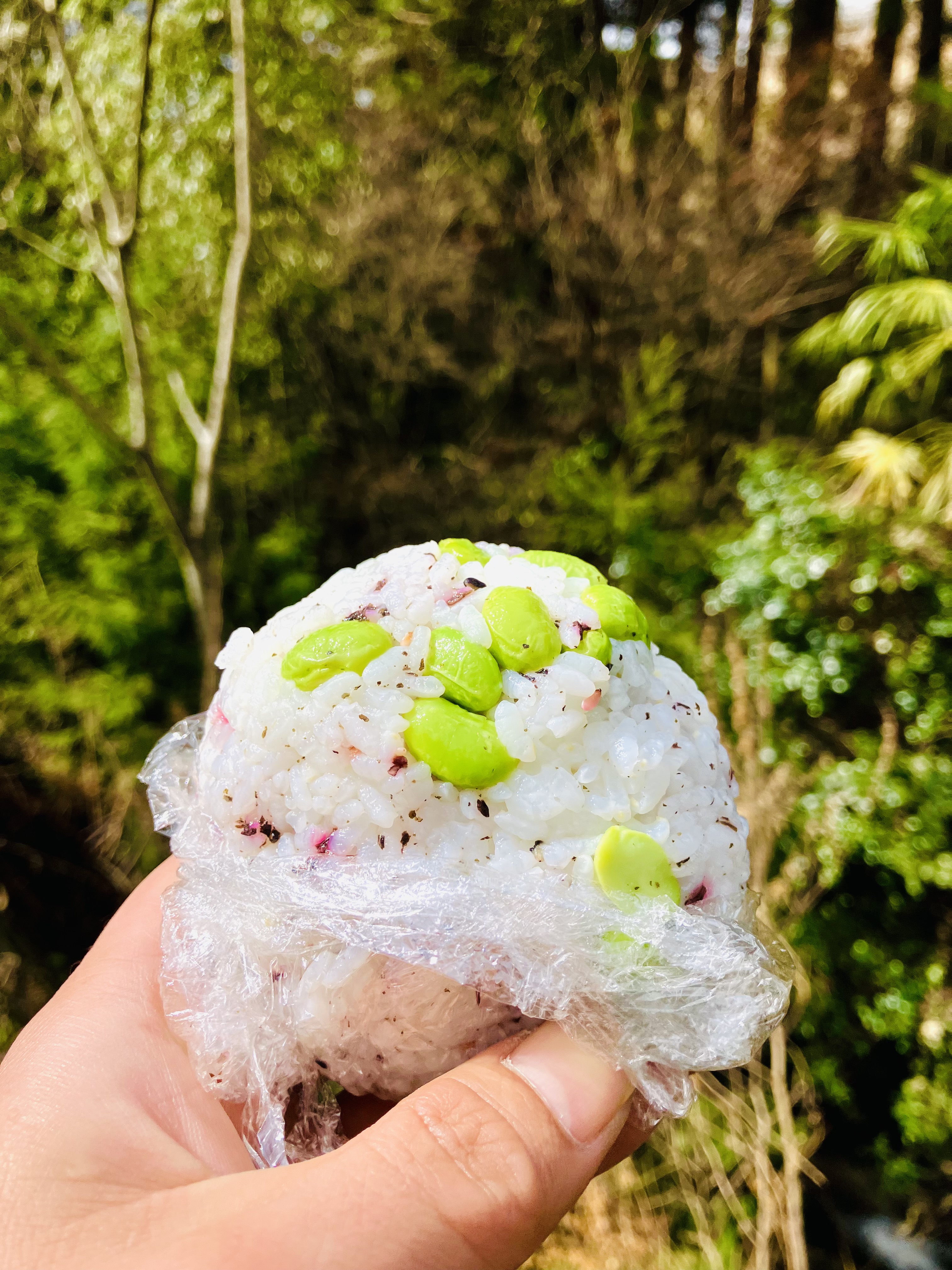 カリカリ梅 赤しその枝豆おにぎり☆