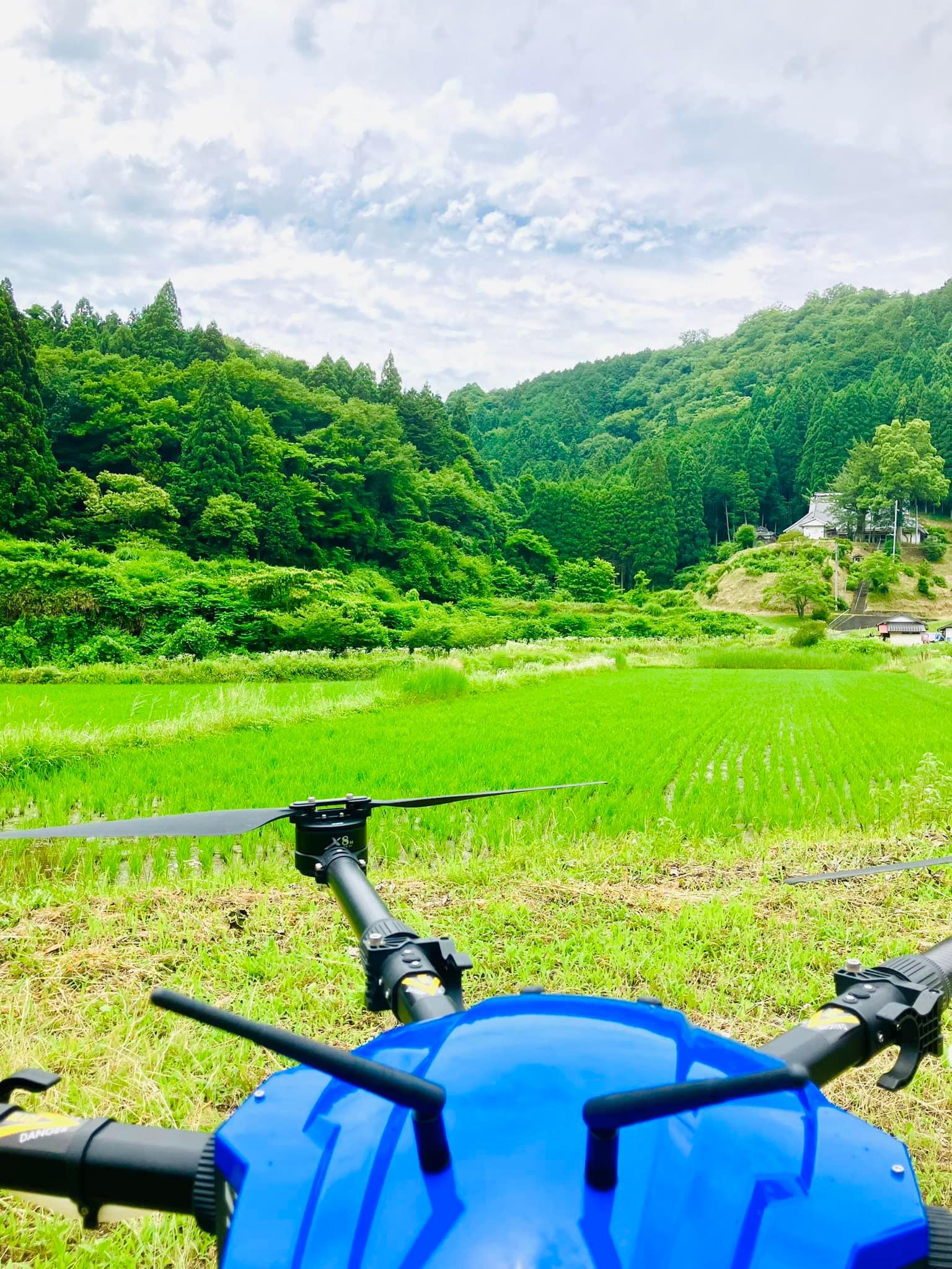 ノビエ防除★