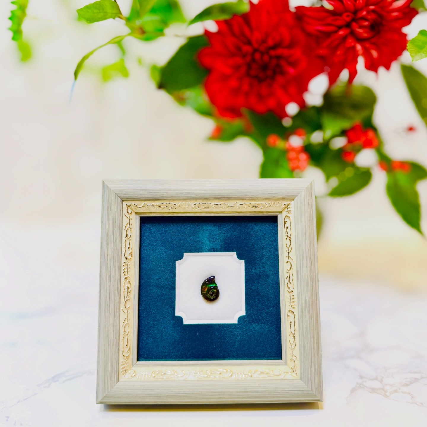 NEW ITEM✨Gem Frame:アンモライト・アンモナイト