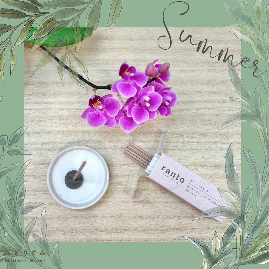 【サマーギフト】Summer Incense 2.5号1本立て