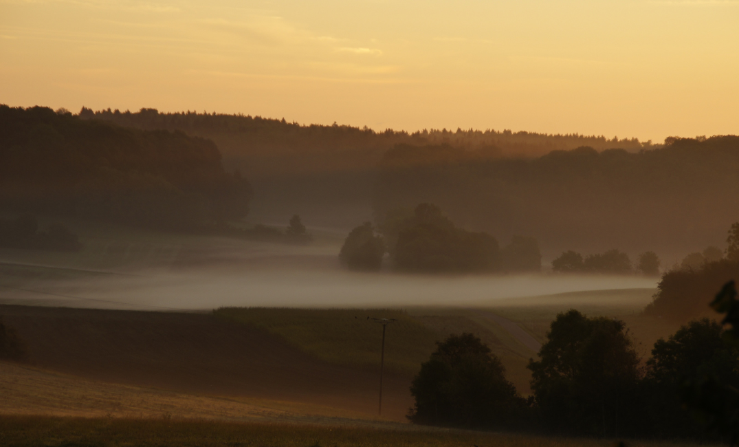 Black Friday 11/18-start