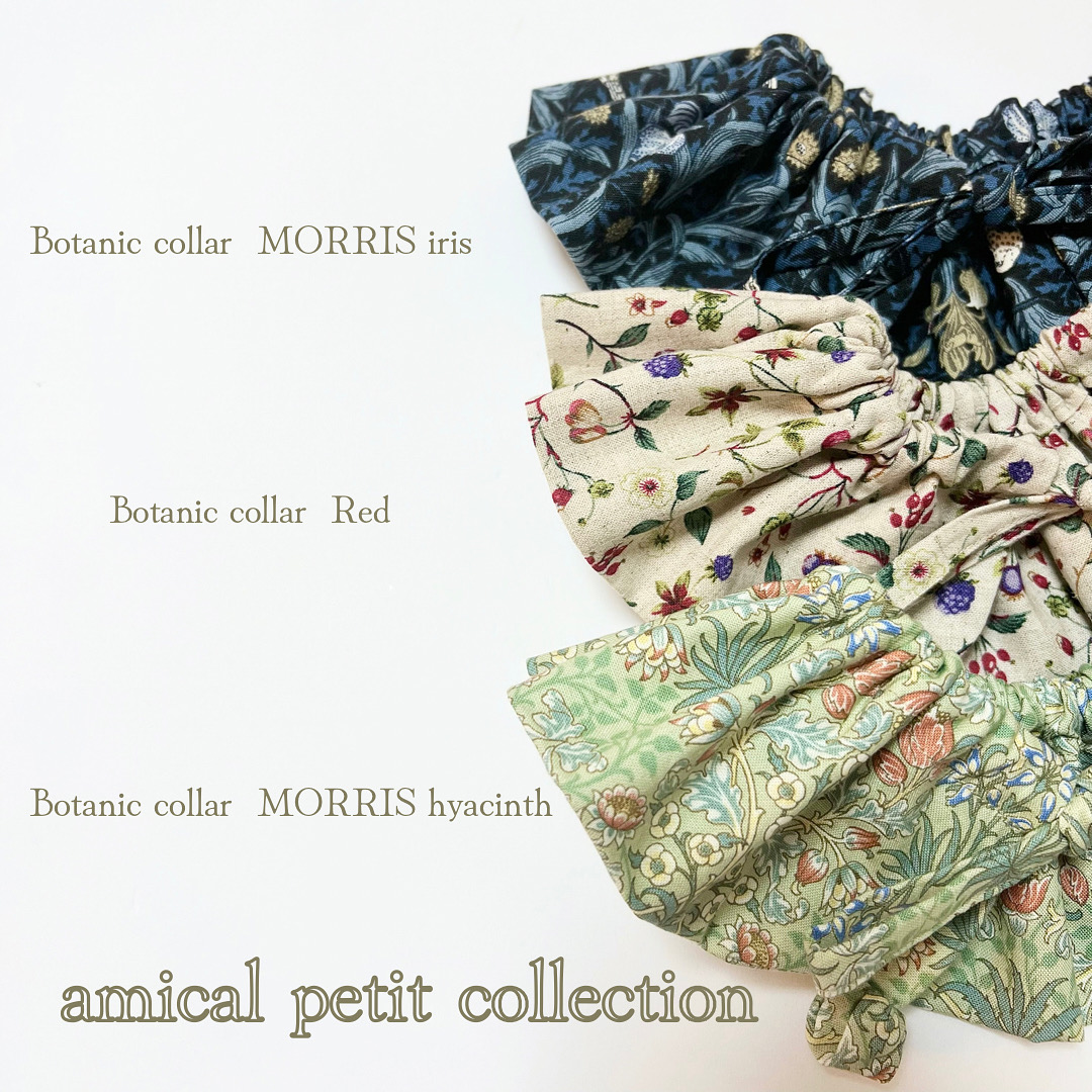 amical petit collection 【再入荷！！】