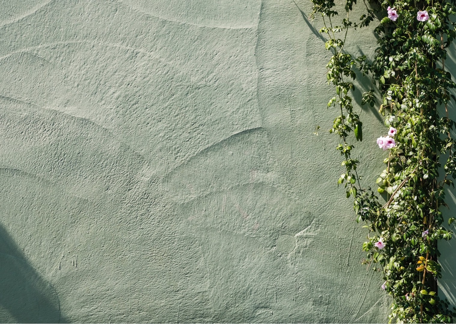 実店舗がopenしました