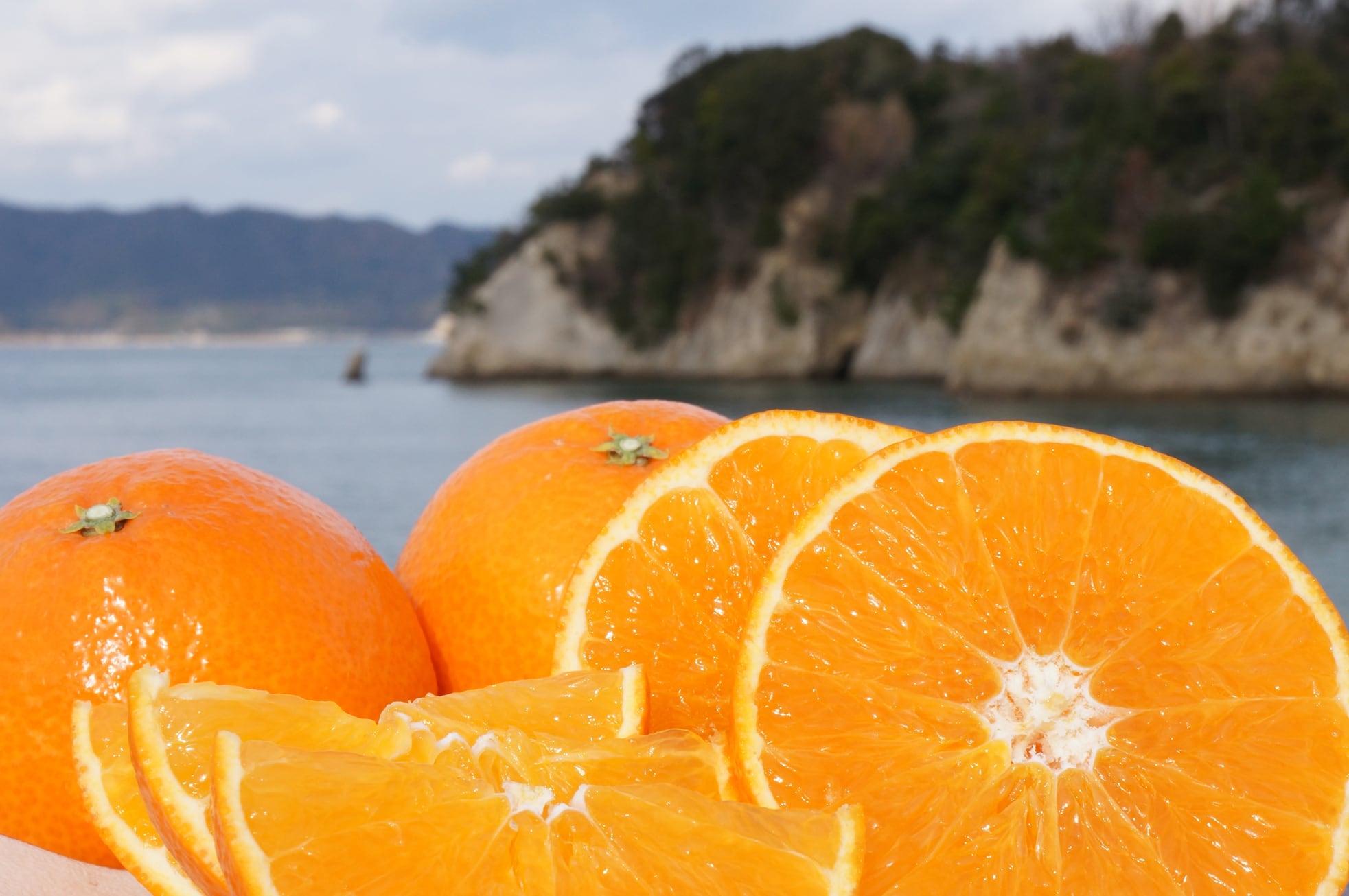 柑橘王国愛媛が産んだ奇跡の柑橘「瀬戸のまどんな」は自然によって作られた健康ゼリーです！