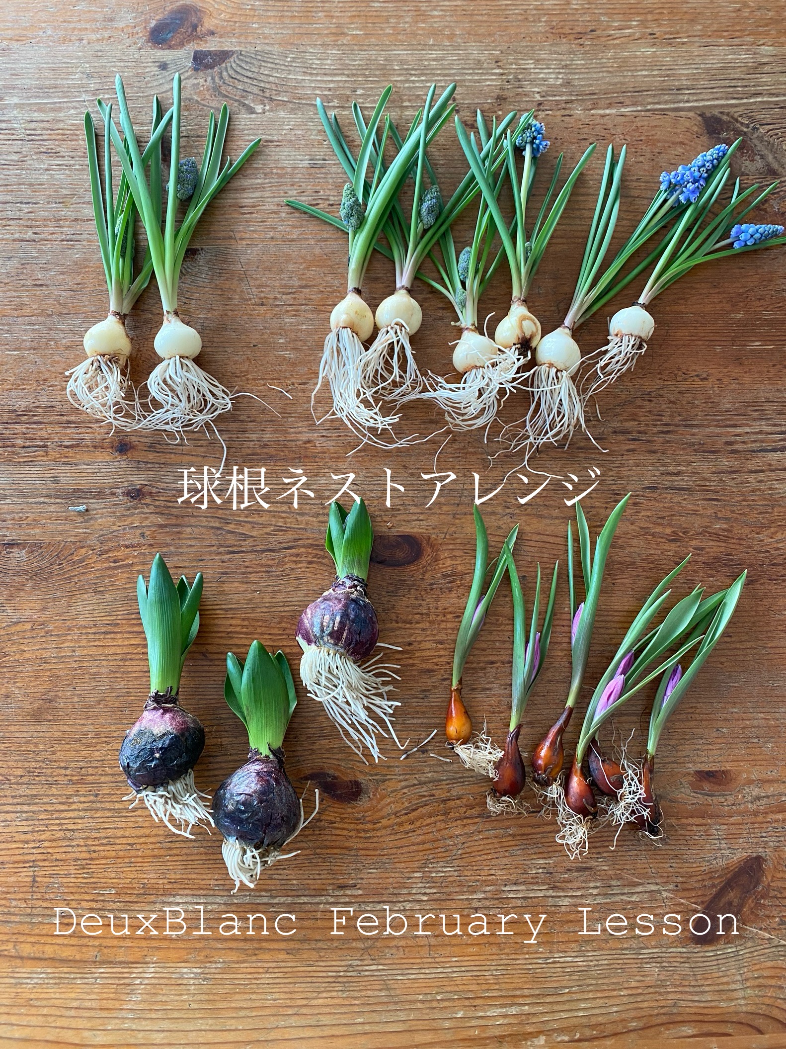 うみとやまとで出張レッスン