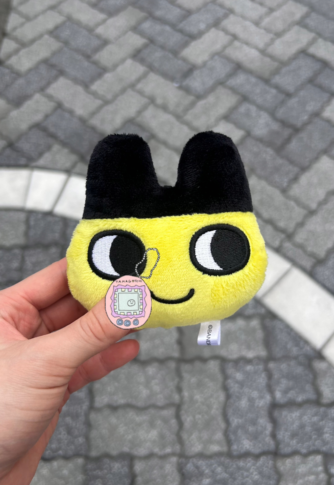まめっちです(>v<)"