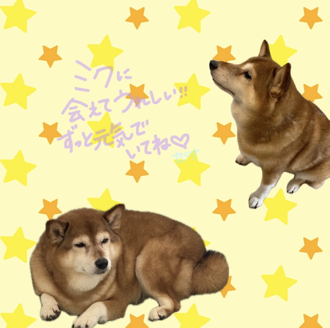 ミクに会えました