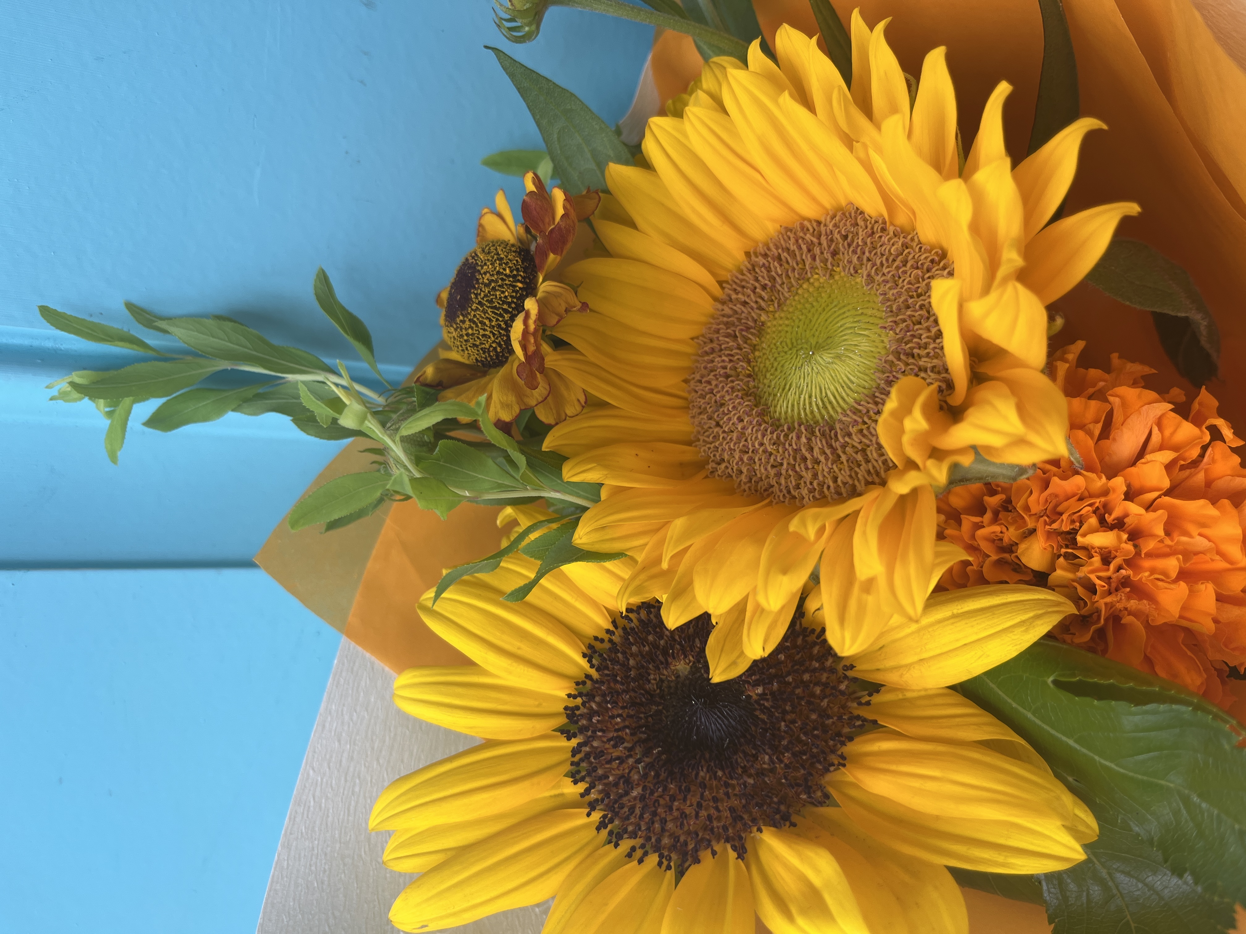 こんにちは🌻
