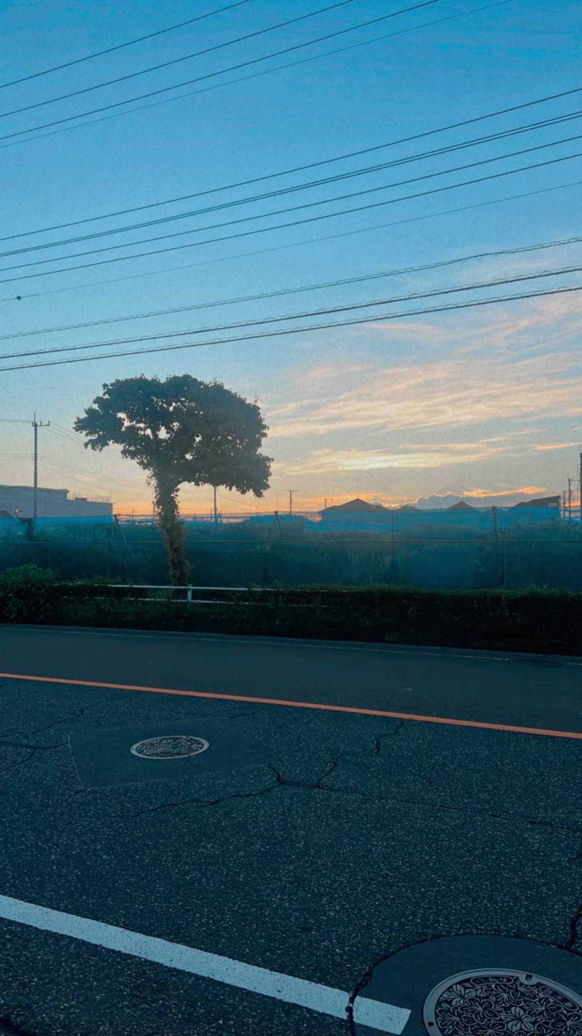 朝活女
