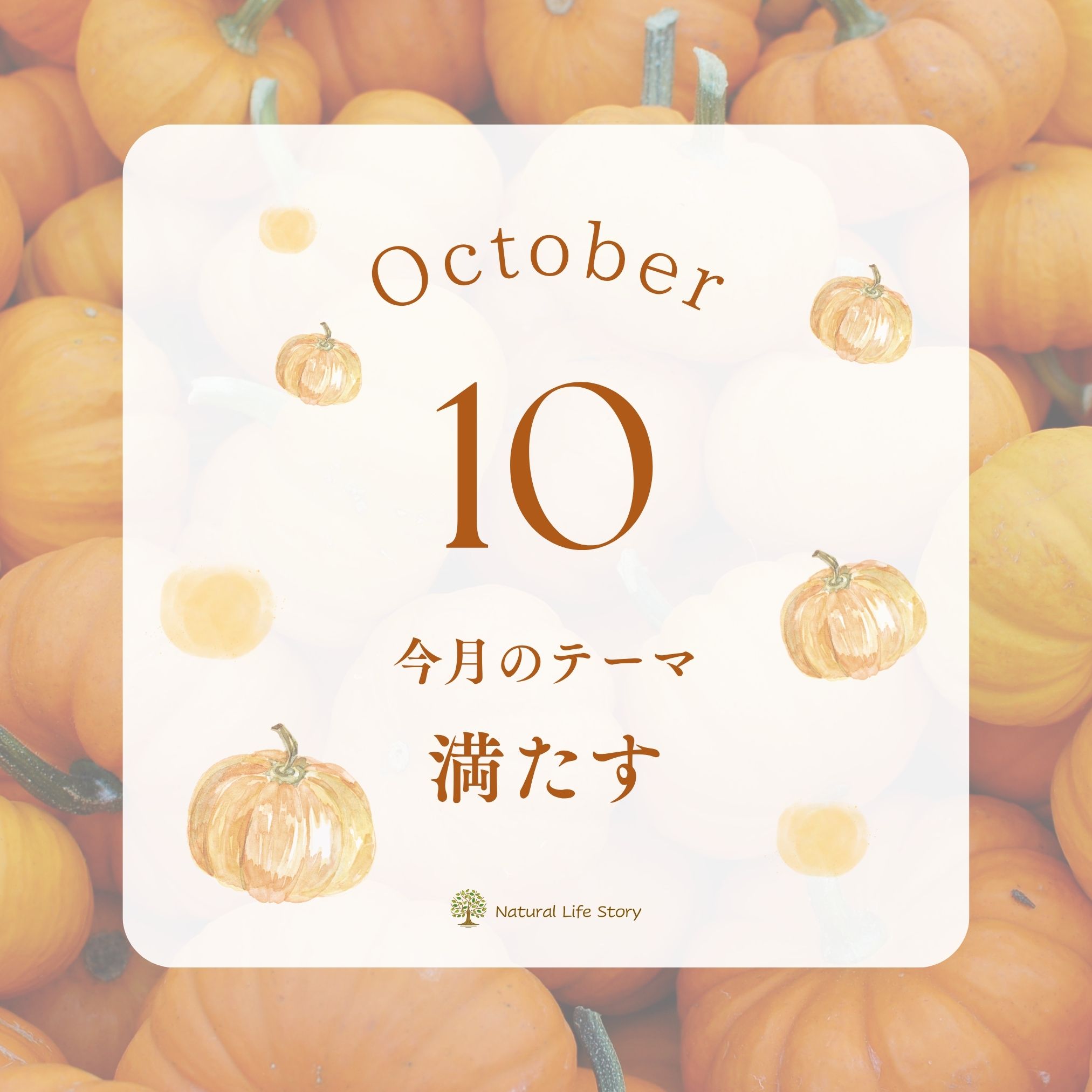 10月の季節だより|肌と心を、やさしく満たす