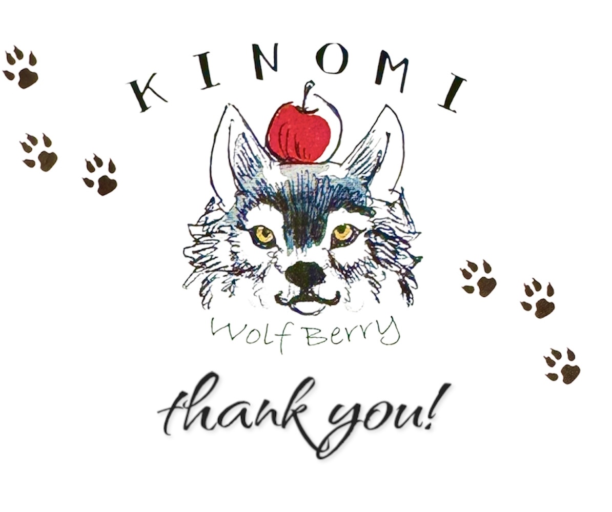 デザフェス62ありがとうございました！