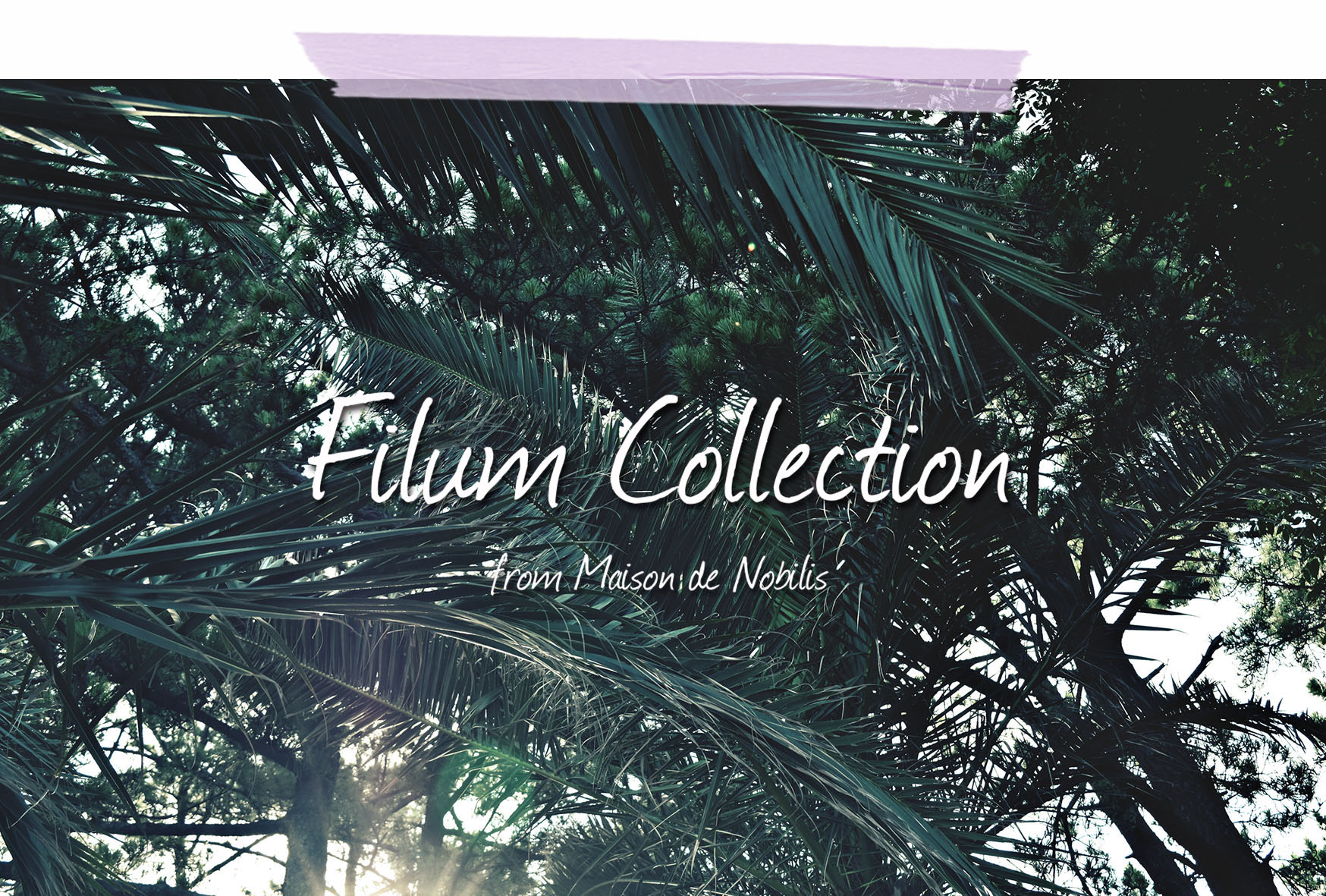 Filum Collection LOOK BOOK