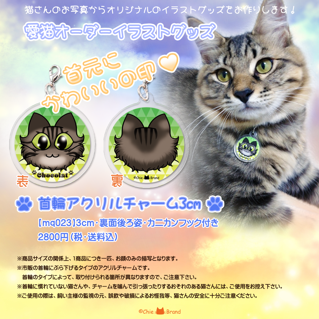 2023年　秋の新商品！愛猫さんの首輪チャーム