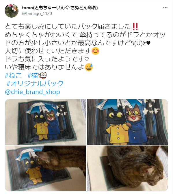 モニターキャンペーン　お客様レビューその4