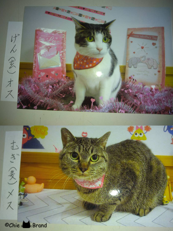 古いお写真からのご依頼