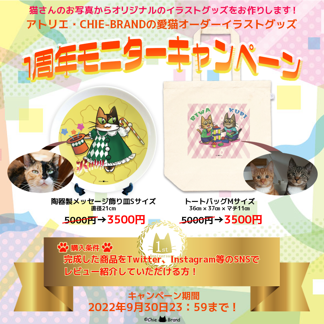 一周年記念！30％OFF モニターキャンペーン開始！
