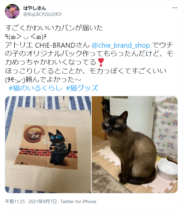 モニターキャンペーン　お客様レビューその2