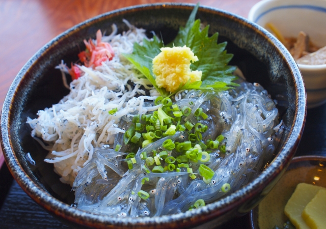 春が旬のしらすは栄養効果抜群！