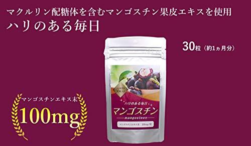 マンゴスチン30粒