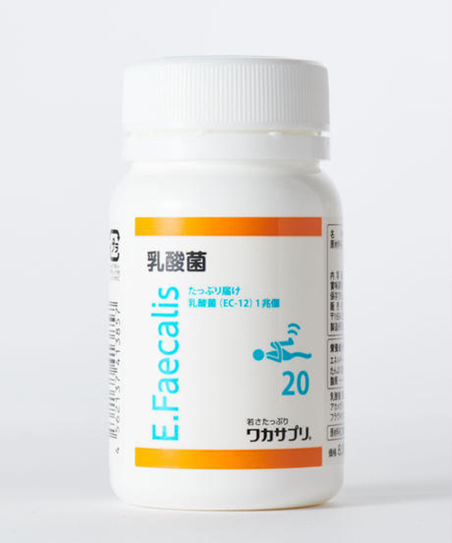 1兆個の乳酸菌で腸まで届く・乳酸菌  90粒