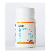 乳酸菌