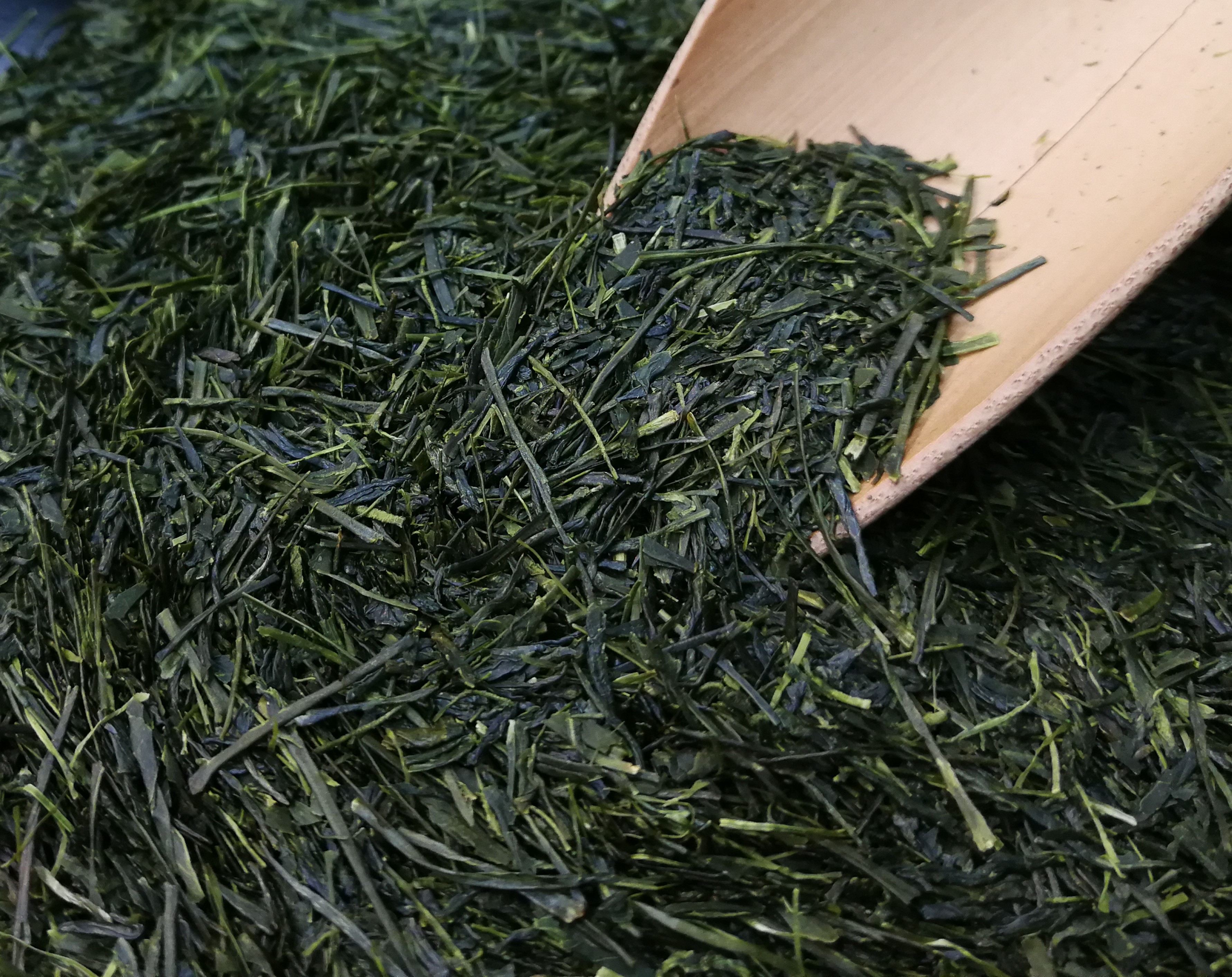 日本茶についてのお話②