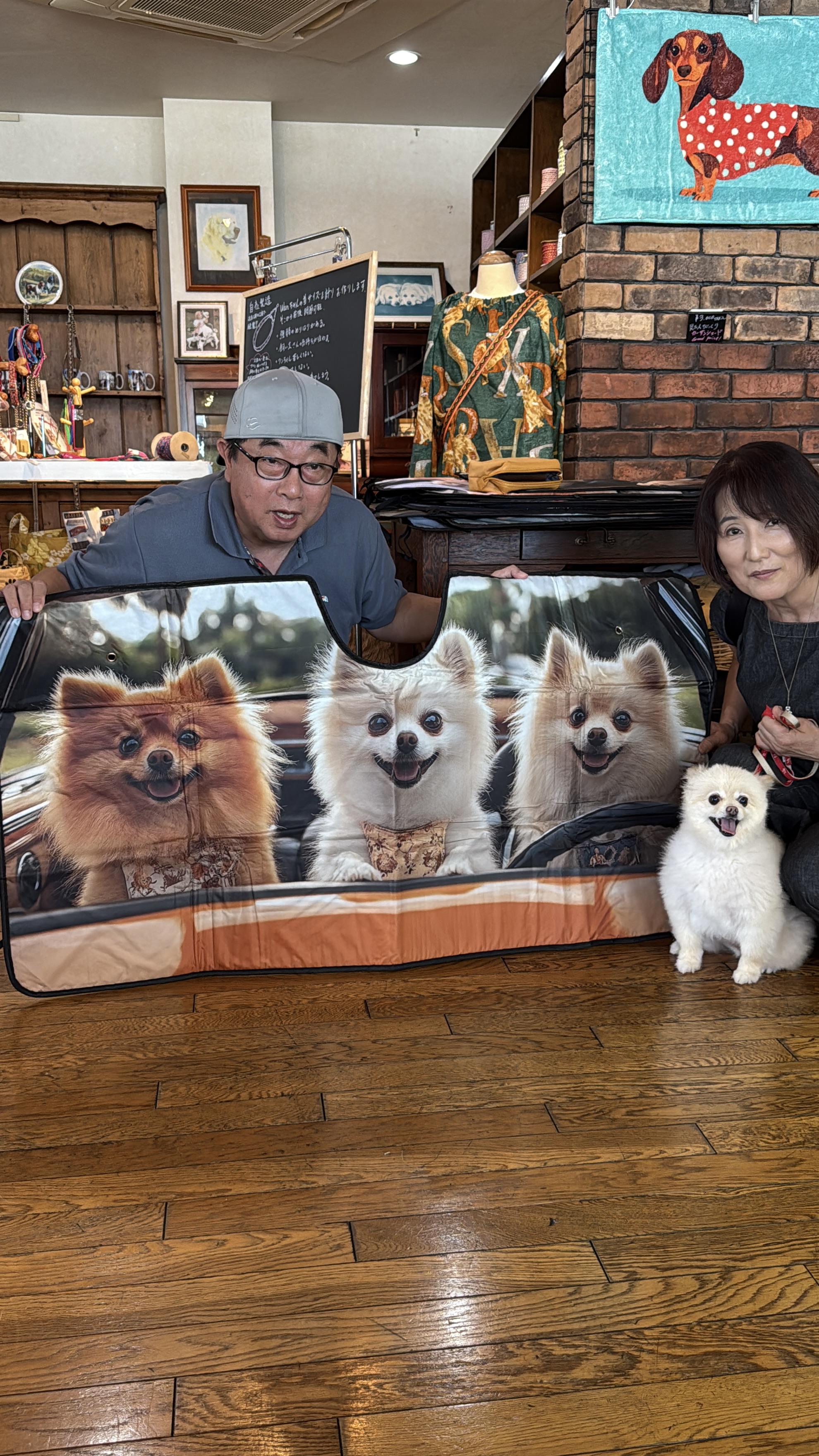 🐾ご来店のくるみちゃんにそっくり！ポメラニアンのサンシェードが大人気🐾