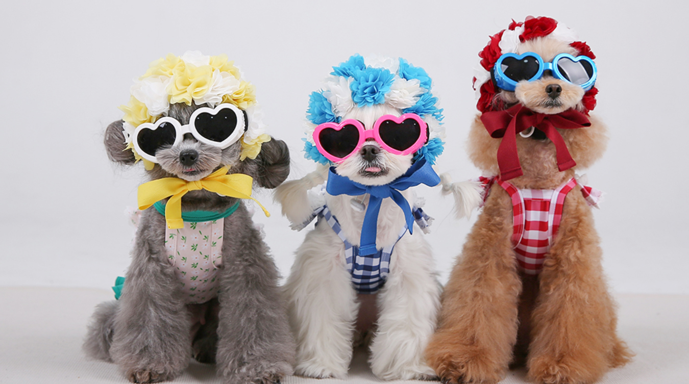 HAPPY JJANGGUの配送状況について