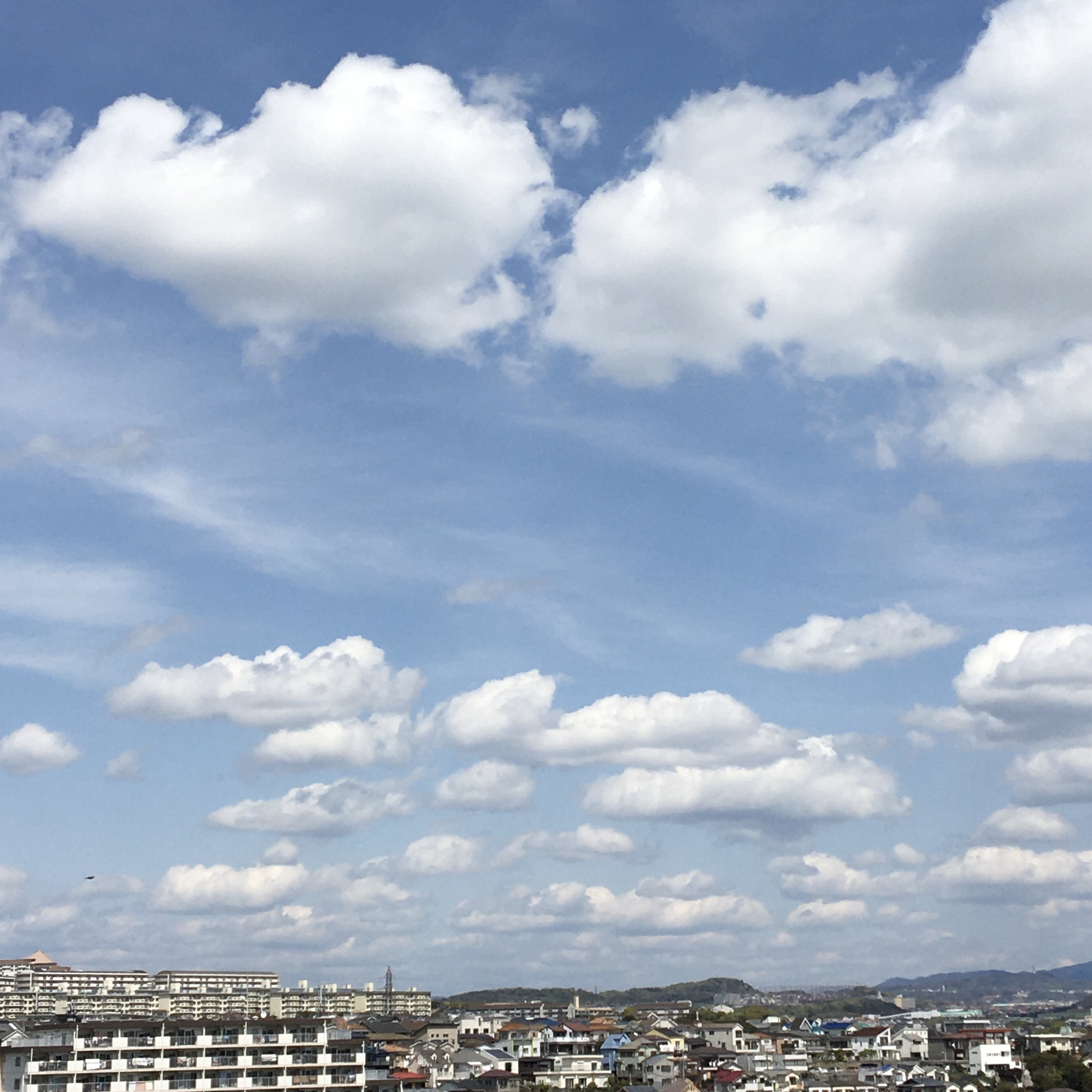 本日の空