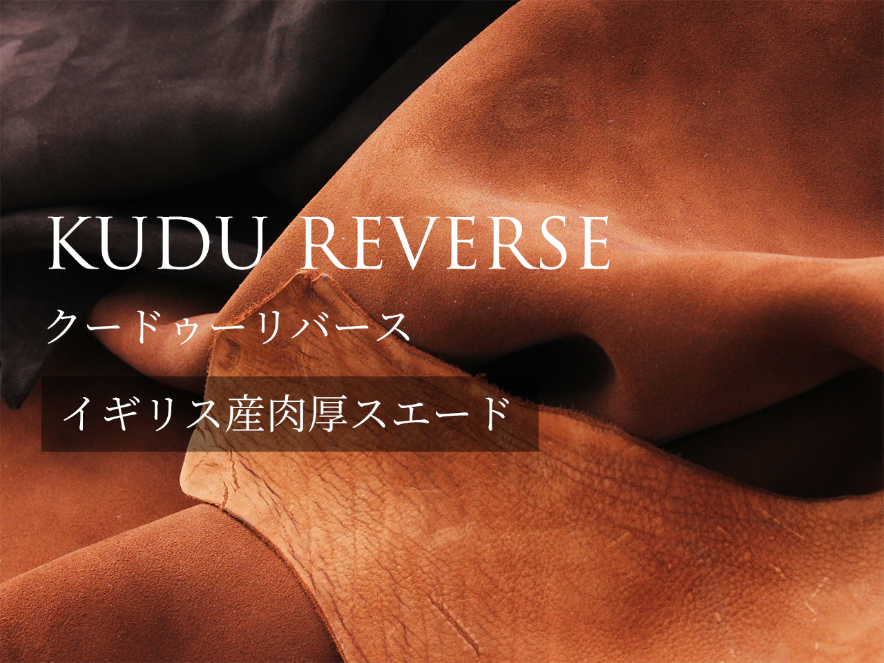 KUDU REVERSE（クードゥーリバース）について