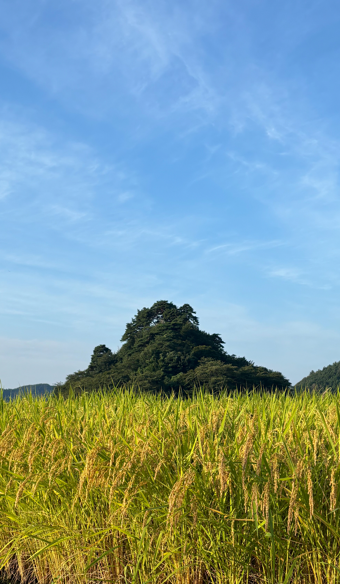 鬼にまつわる伝説の残る小さな山(2024年9月6日）