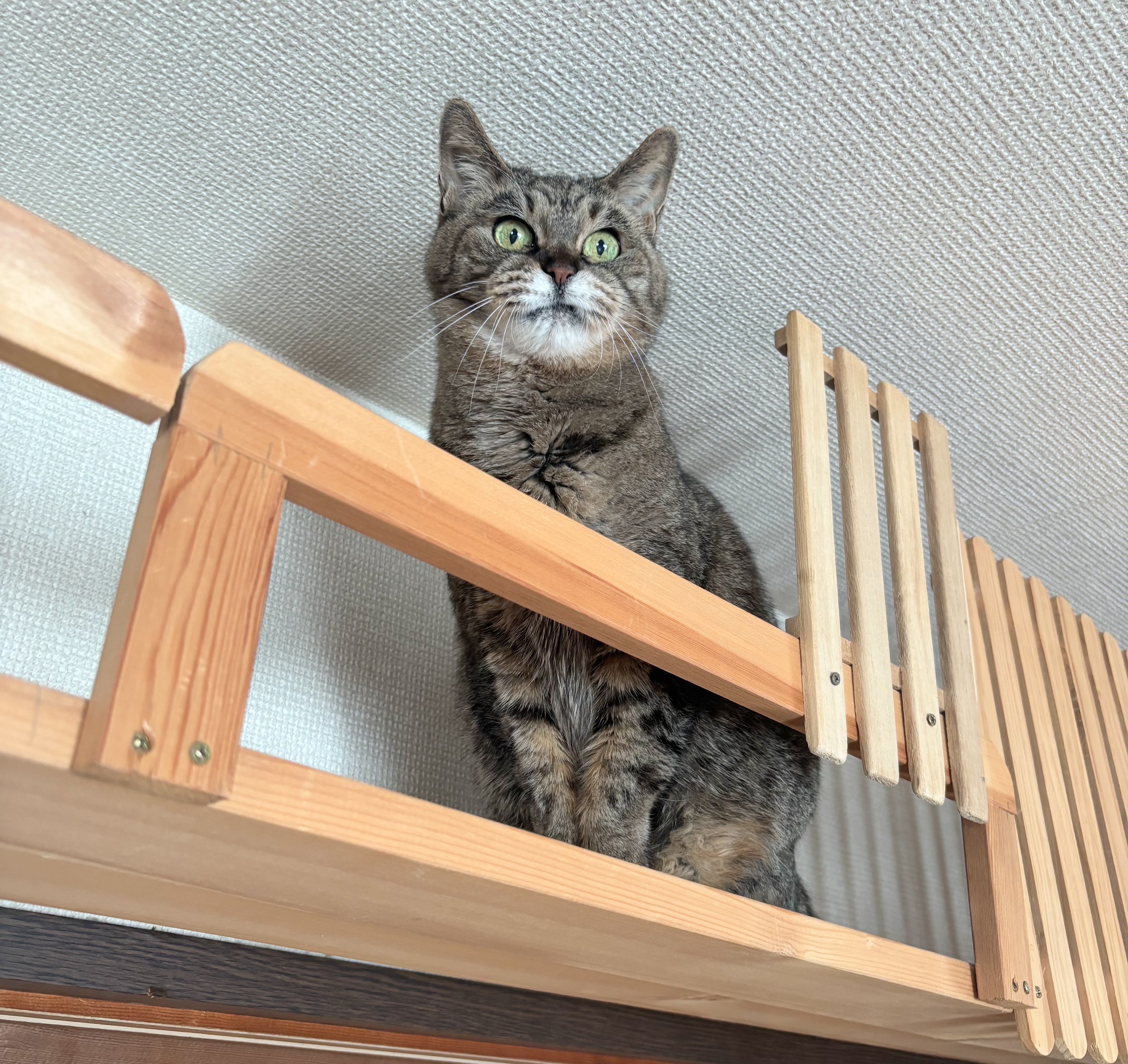 3秒後には泣いている