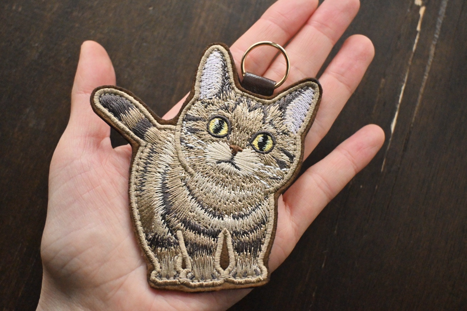 キジトラちゃんがcoming soon