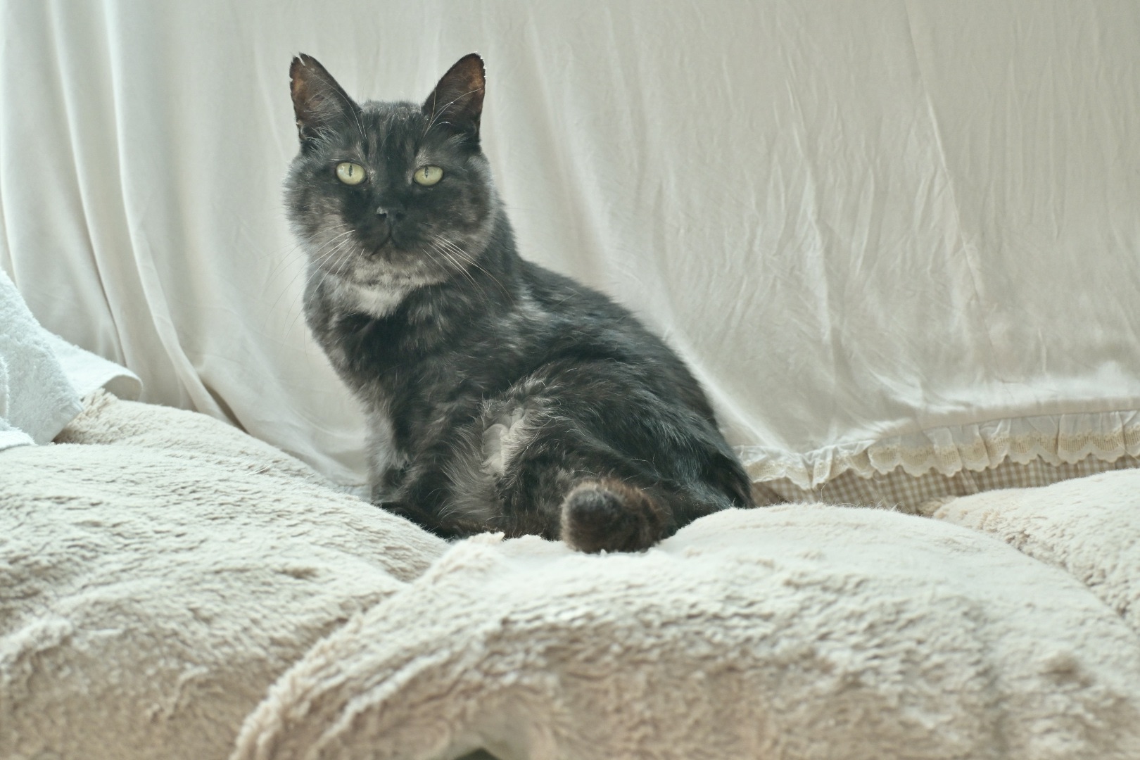 年末のドタバタ