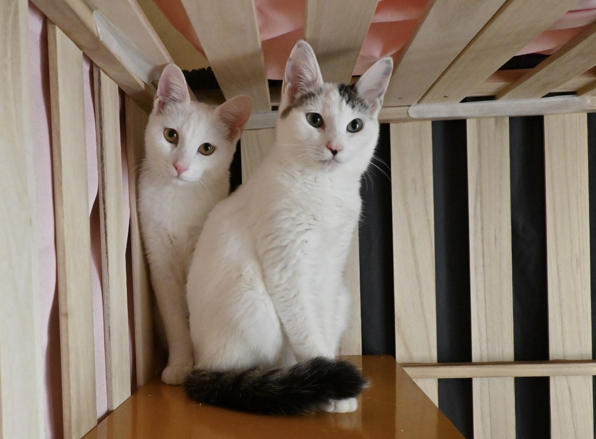 精一杯生きてる。