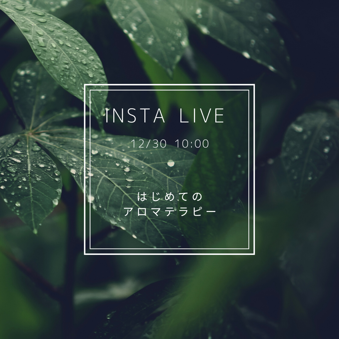 insta LIVE  12/30  はじめてのアロマテラピー