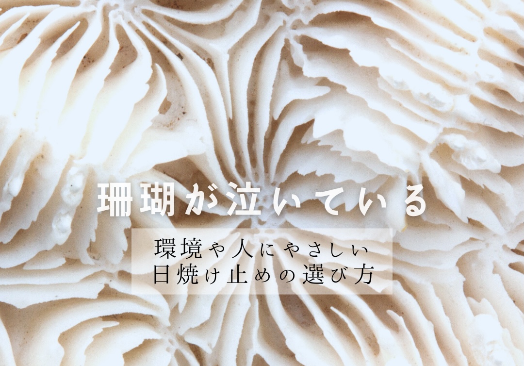 日焼け止めについてあなたはどれくら知っていますか？　環境や人に優しい日焼け止めの選び方