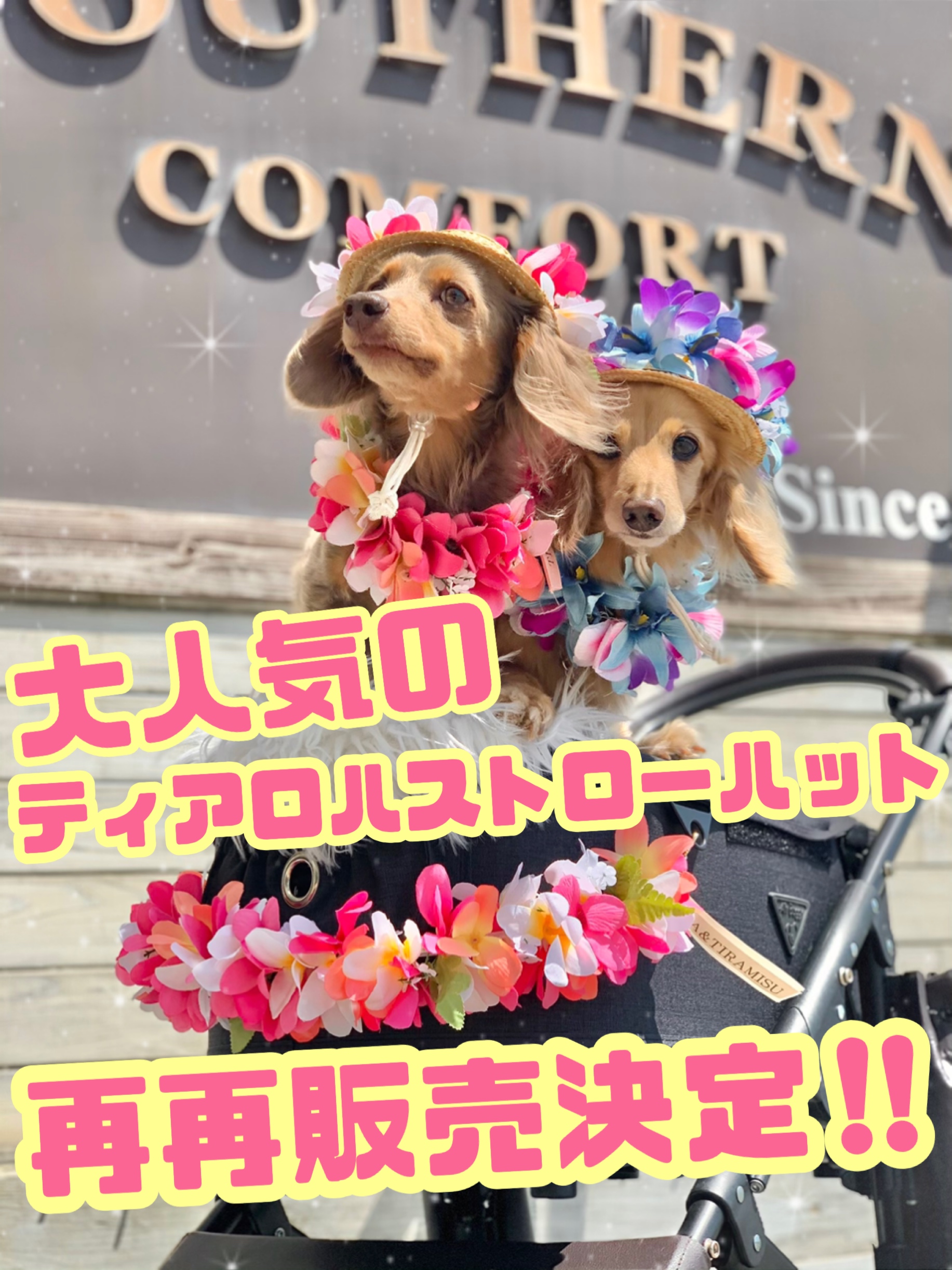 【再再販売決定‼️】ティアロハストローハットSサイズ